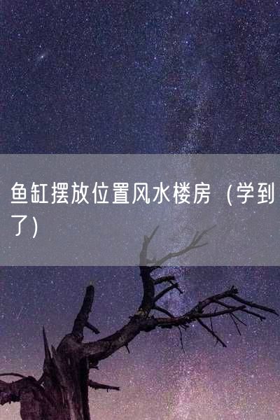 鱼缸摆放位置风水楼房（学到了）