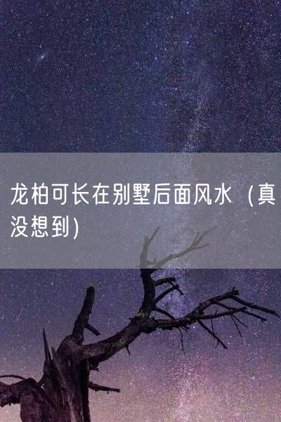 龙柏可长在别墅后面风水（真没想到）
