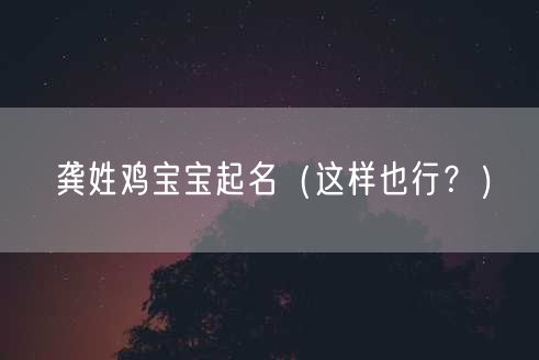 龚姓鸡宝宝起名（这样也行？）