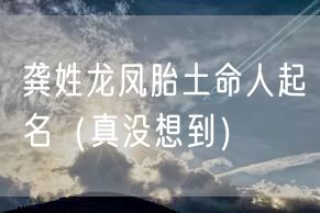 龚姓龙凤胎土命人起名（真没想到）