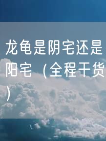 龙龟是阴宅还是阳宅（全程干货）