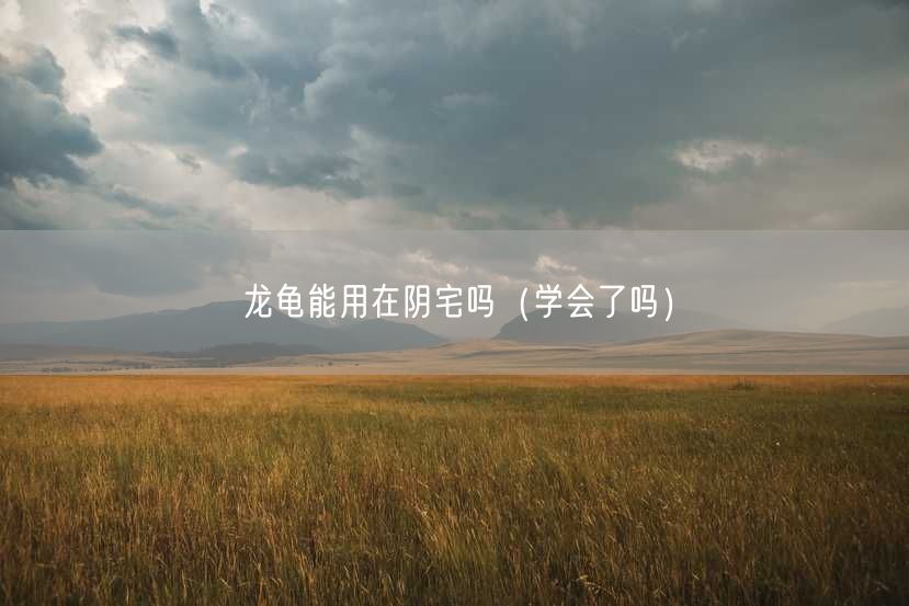 龙龟能用在阴宅吗（学会了吗）