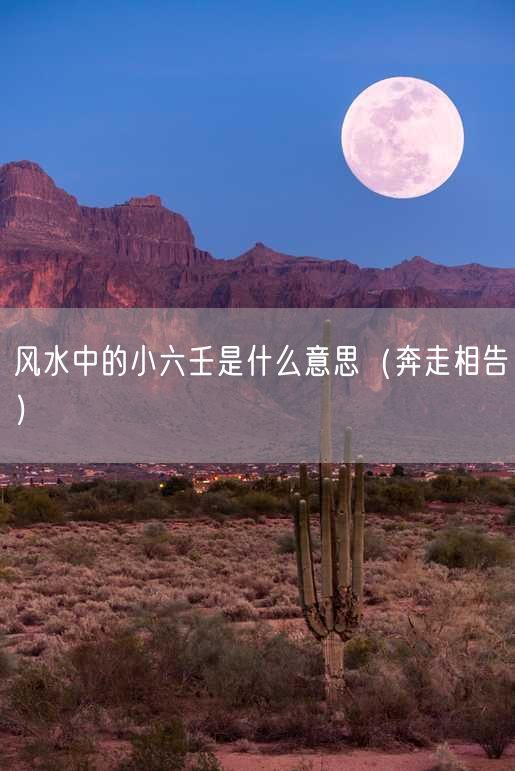 风水中的小六壬是什么意思（奔走相告）
