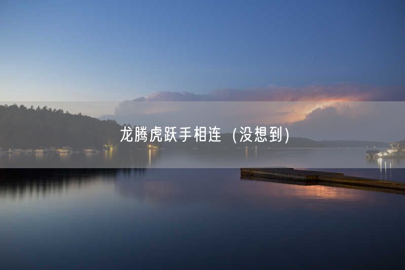 龙腾虎跃手相连（没想到）
